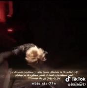 حق بود ... هیتر های احمق.🫣🫣🫣