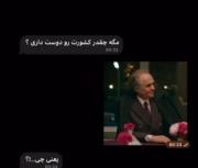 من عاشق ایرانم و برای ایرانم جان میدم و برام مهم نیست تو راجبم چی فک