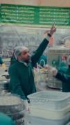 یه مداحی در حرم امام رضا چه صفایی داره📿
