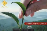 جهت آشنایی بیشتر با فندوم کاملااا عادی استی عدد ۵ رو کامنت کنید☺️