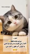 والا بغیر از اینه؟!!!! 😊😌🥲‌‌‌