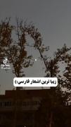 _____❤️‍🩹این اشعار های فارسی حرف دل منو گفت❤️‍🩹_____