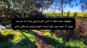 ترجیحم این بوده که واقعی باشم...