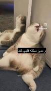 . دعا برای نابودی مدرسه .