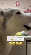منم اولش همین فکر رو کردم 👍😂