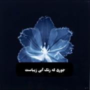 آبی عاشقانه و غمگین ترین رنگ >>>