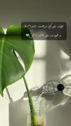 همیشه به خودت امید داشته باش مثل این جوانه 🌿🍀☘️🪴🌱