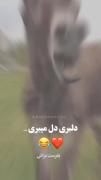 اینو بفرست واسه دوستت بهش بگو یکی مثل خودت رو پیداکردم 🕸🪷