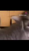 ااااااااآااااااااااااااااااااا