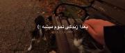 بعدا شاید هیچکدوممون نبودیم :)!