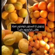 واقعا چرا از تابستون خوشتون نمیاد بنظرم بیشتر چیزای خوب تو تابستونه