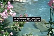 ـــــــــــــــــــــــــــــــــ¹⁰