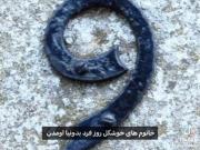 وایب کسانی که روز فرد به دنیا آمدن🫦
