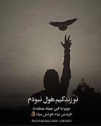 من توی زندگیم ◇هول نبودم*چونکه به این جمله تسلت داشتم ششه بیاد خوته 