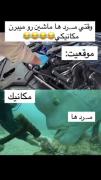 حق به روایت تصویر.............