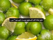 دلیل منن🫴🏻 .