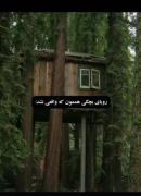 رویای بچگیممم💚🌱🤎🪵 ‌