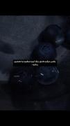 ‌ ‌ ‌ ‌ ‌ ‌ ‌ ‌ ابی سیر ‌ ‌ ‌ ‌ ‌ 