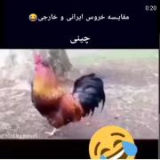 ارکی این ویدیوروببینه نخنده خره 🤣🤣🤣🤣🤣🤣❤️
