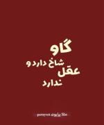 گاو شاخ دارد اما عقل ندارد....