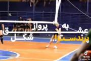 عشق به شکل پرواز پرندست🏐🦅‌‌‌‌‌‌‌‌‌‌