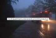دلم هوای مدرسه کرده نه برای خودش 