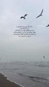 مـــوزیـــکـــ ،،،،،، ویـــدیـــو 
