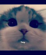 نبینم بد باشیااااااااااااااااااا