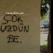 ببین چقد تنها شدیم که حرفامونو رو دیوار می نویسیم:)