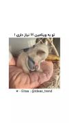 تو به ویتامین M نیاز داری:)))