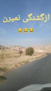دلیل آفرینش تخم مرغ.............