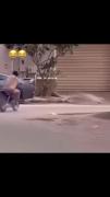 وقتی برا بار اول سوار موتور میشی..