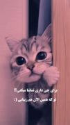 ۵ راه کار برای این که زیبا تر به نظر برسی