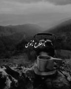 میخوام ببینم کسی برای من تلاش میکنه ؟؟
