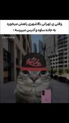 فقط کاتاف هونداعه. ‌‌