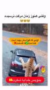 کامنت.........................