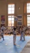 Taekwondo🥋....................