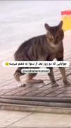 کیا اینطوری هستن؟ ‌‌‌‌‌‌‌‌‌‌‌‌‌‌‌‌‌‌‌‌‌‌‌‌‌‌‌‌‌