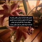 زببااااااااااییی من و ممبرای تاوبیو