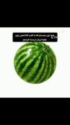 چیزی گفتی؟ تره بار ؟بازار میوه و خوراکی 