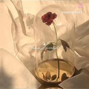 منم عکساشو پاره کردم نامه هاشو پاره کردم...