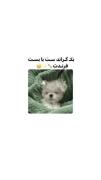 استوری بک گراند عاشقانه لاو . . 