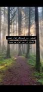 حواستون به دنیای مجازی باشه:....