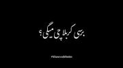 دلتنگی برای امام حسین ،کربلا و اربعین 