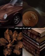 رنگ مورد علاقه ی من قهوه ایه 🤎