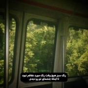 رنگ مورد علاقه ی من سبزه خیلی خوش رنگه 💚
