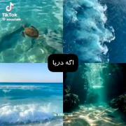 هرچی با هم ترکیب بشه چه شکلی میشه 
