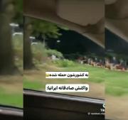 فکر کنم ریلکس ترین ادما توی جنگ ایرانیان🤣