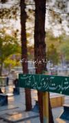 ‌‌هدف زندگی ؛ ‌‌بندگ‌یست‌‌.✨...