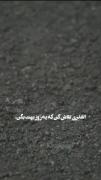 روزی میرسه بهمون میگن.........